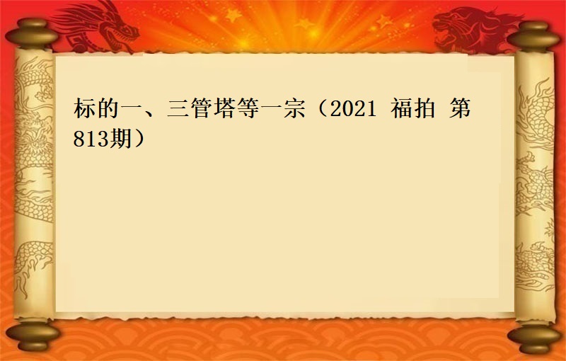 标的一(yī)、三管塔等一(yī)宗（2021 福拍 第813期）