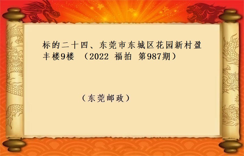 标的二十四、東莞市(shì)東城(chéng)區花園新村(cūn)盈豐樓9樓 （按年(nián)租金起拍）（2022 福拍 第987期）