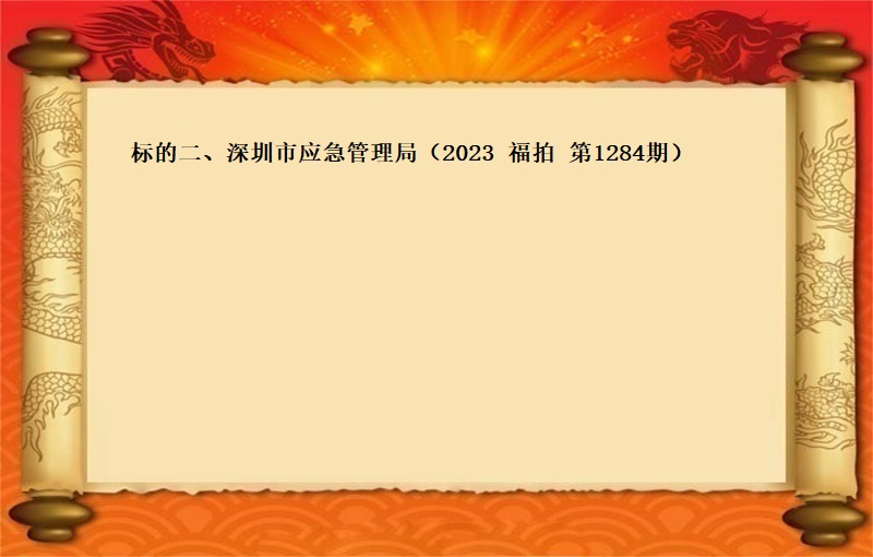 标的二、深圳市(shì)應急管理局報(bào)廢資産